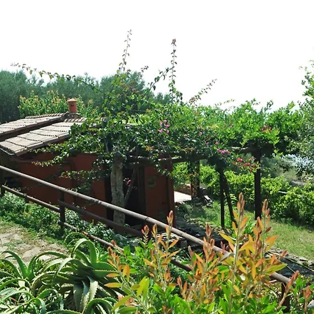 Terrazza Degli Angeli * Ascea