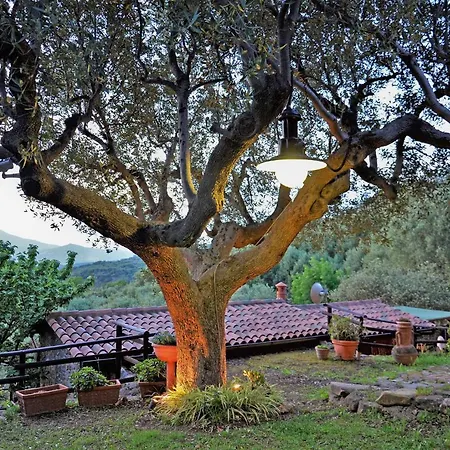 Terrazza Degli Angeli Ascea